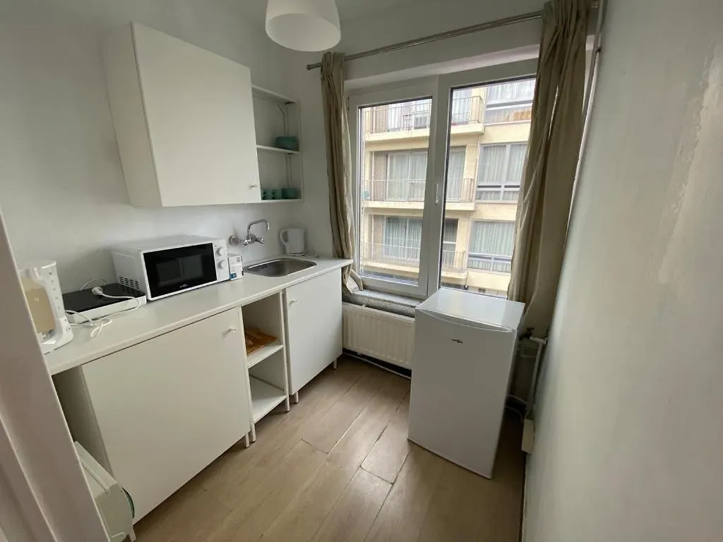 Комфортная Квартира В Городе Антверпен Apartmán Antverpy